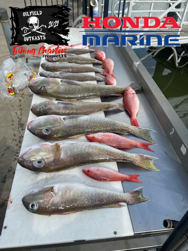 O2outkasts's tweet image. Sorry we haven’t posted fishing photos but we’ve been fishin’! Hers some from this weekend and last week! Enjoy and I hope to see you all soon!
#hondamarine #rapala #diawa #mauijimsunglasses #oilfieldoutkasts #O2 #fcjmarine