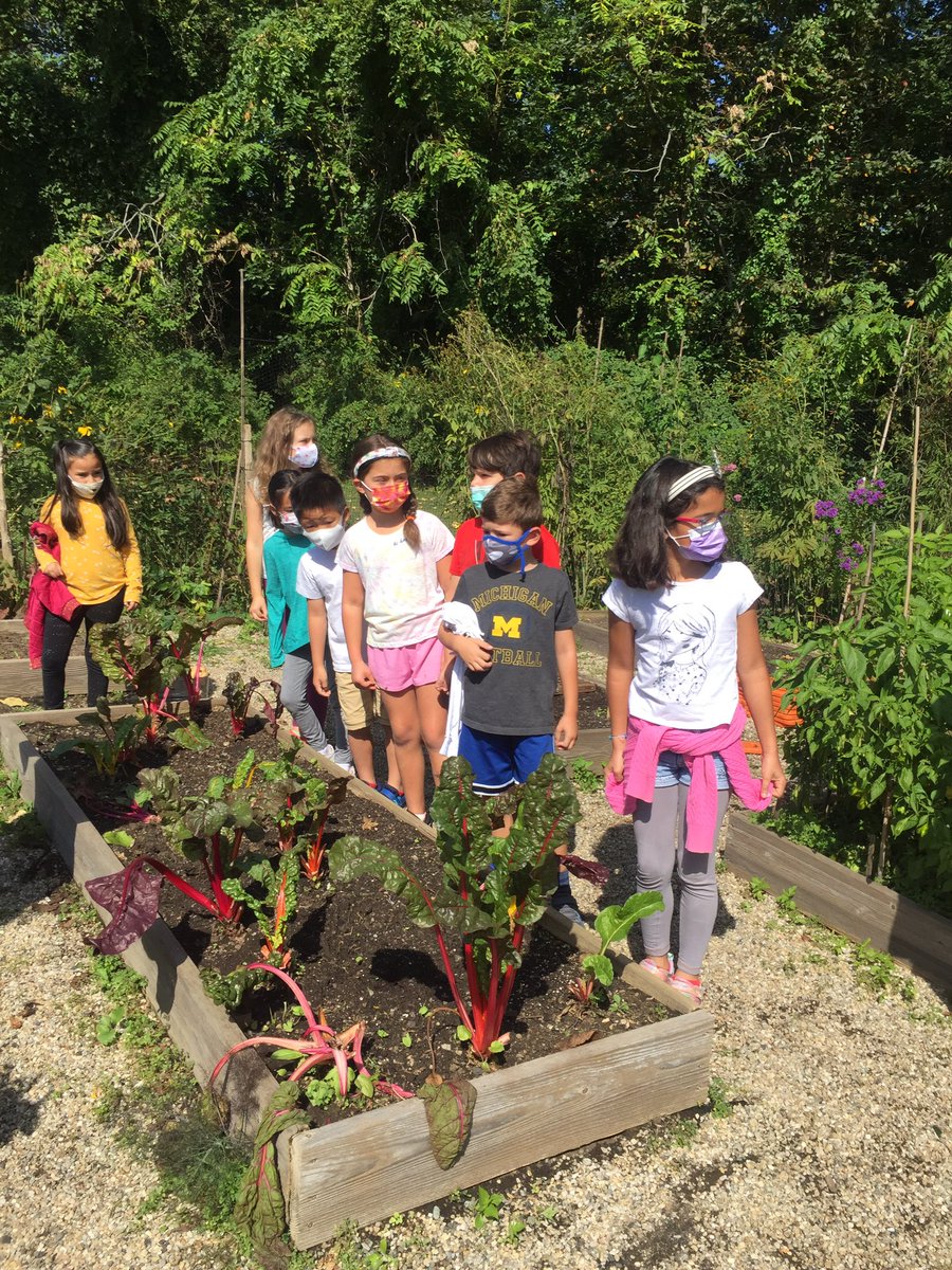 MrsBaezteaches's tweet photo. Perfect day for a scavenger hunt in the garden! #qrspride https://t.co/3xo7oATtzX