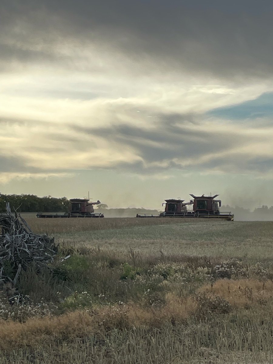 That’s all for #harvest21