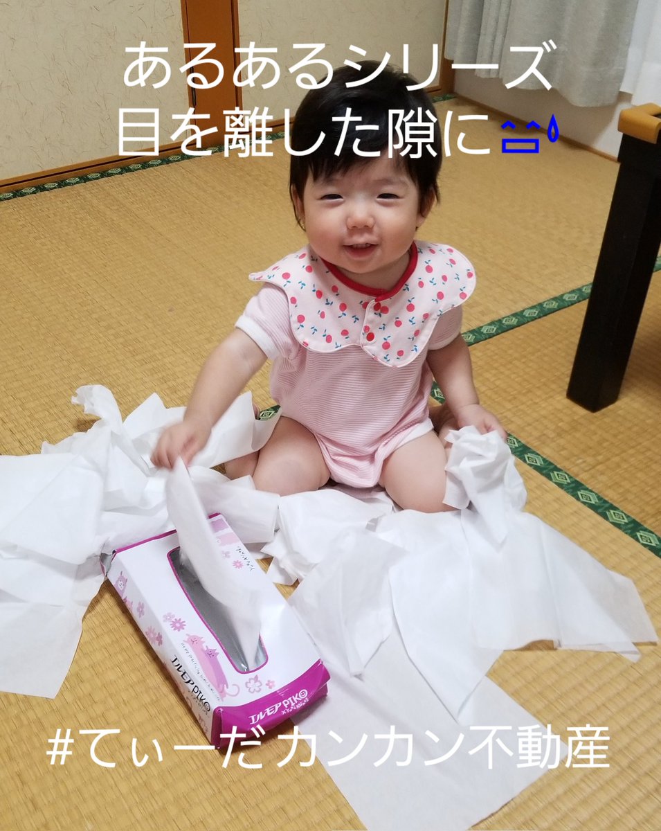 tksysfm's tweet photo. おはようございます😄✨ 今日も楽しみましょう😅✨✨

#てぃーだ��ンカン不動産 #あるあるシリーズ #目を離す�� #たくし学園 https://t.co/mukBXA5Zma