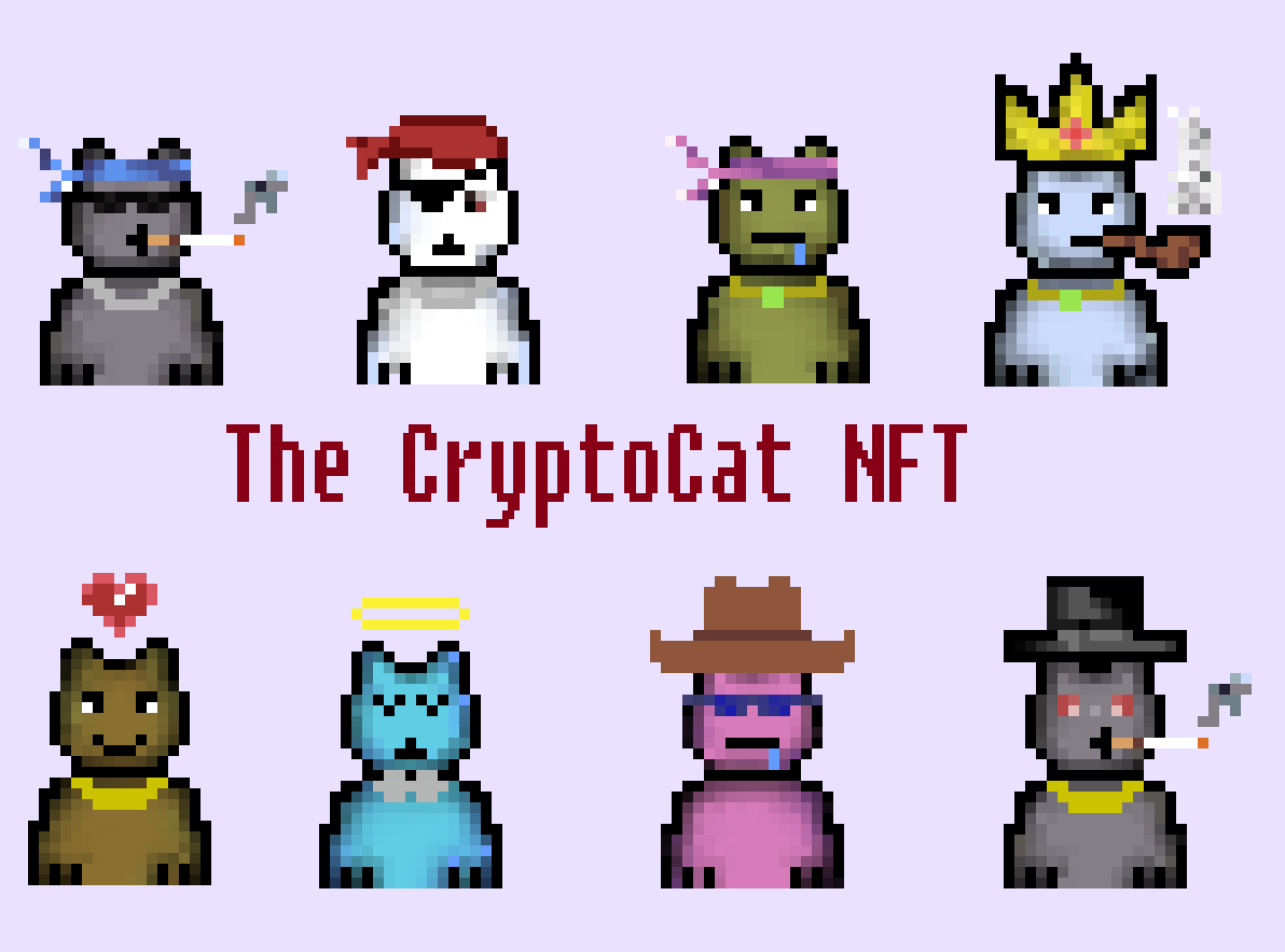 CryptoCatsNFT's tweet photo. Weekly Update:-
🐱Our Collection is complete Might Mint 100 out of 2000 CryptoCat Next Week.
🐱Our Team is now working on the website.
🐱Giveaway Soon Stay Tuned.
Meoooww....
#Solana #NFT #Solsea #SolSeaNFT #SolanaNFTs #NFTGiveaway #Solanart  #Nftcommunication #Defi #NFTcommunity https://t.co/jyClaelaXU