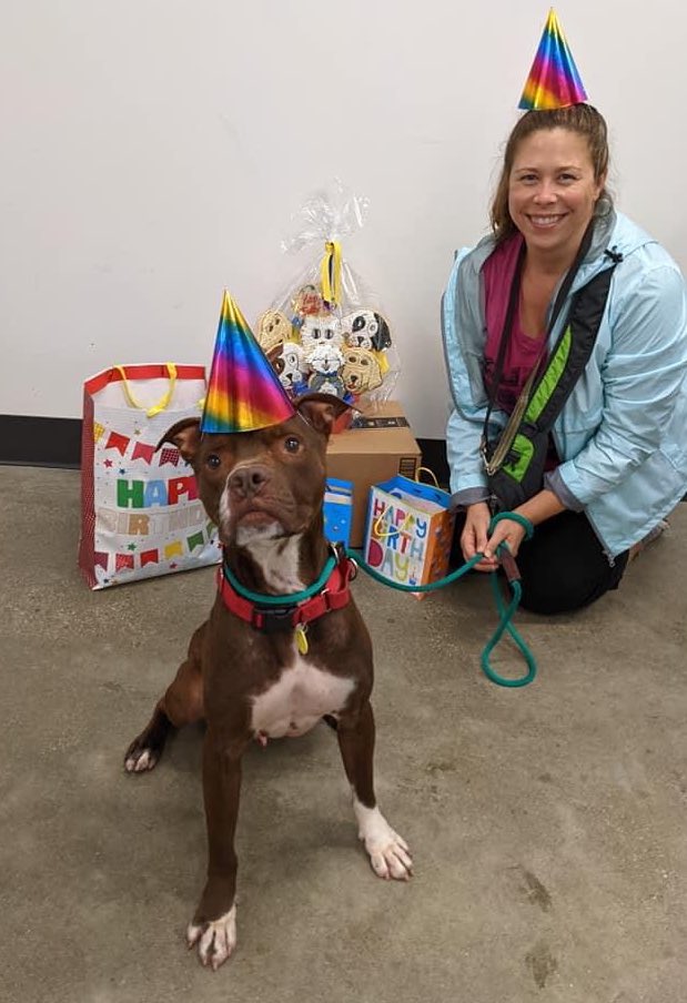 CityDogsCLE's tweet image. Volunteer Emily celebrated her birthday by treating the kennel staff to cookies &amp;amp; the dogs to some special goodies (picked out by her CITY DOG Jolene🐶)! Ethan was happy to accommodate if it meant a treat! Read his bio here: petango.com/Adopt/Dog-Terr… #adopt
