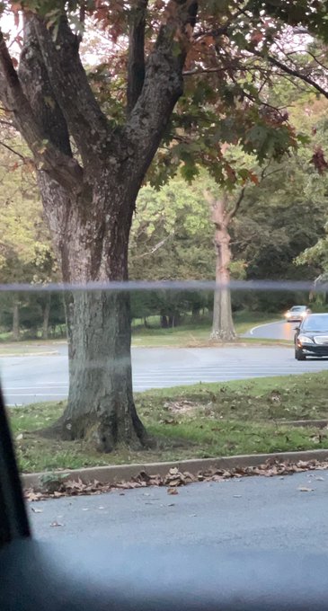 Watch 📦💥🔋's leaked NSFW photo on TwXstars