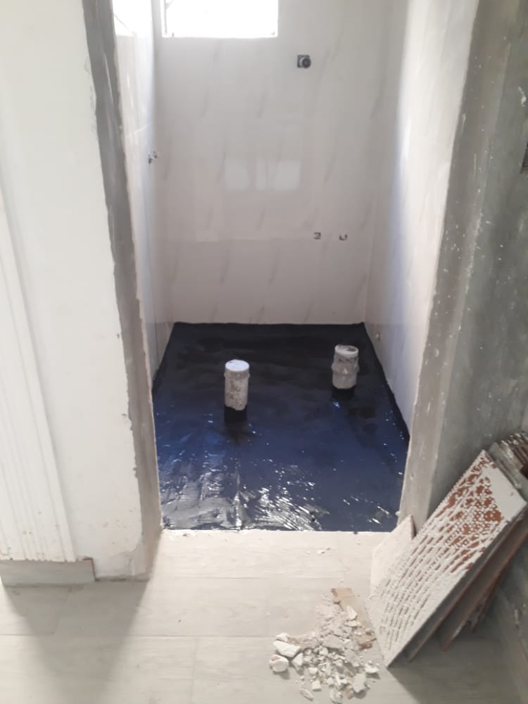 055isolate's tweet image. 