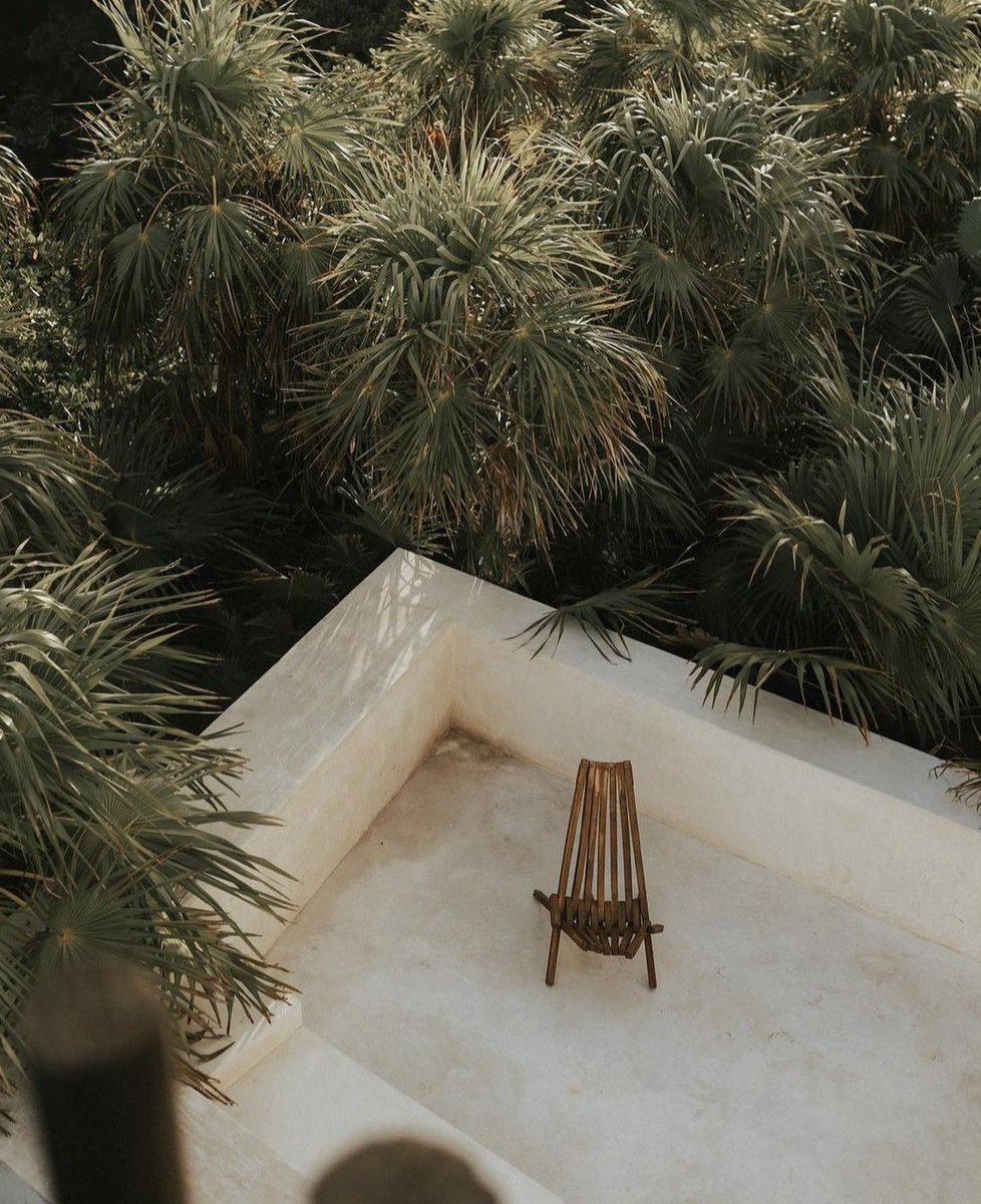 ARCHLABEL's tweet photo. Treehouse, Tulum. https://t.co/9xmE03lIjs