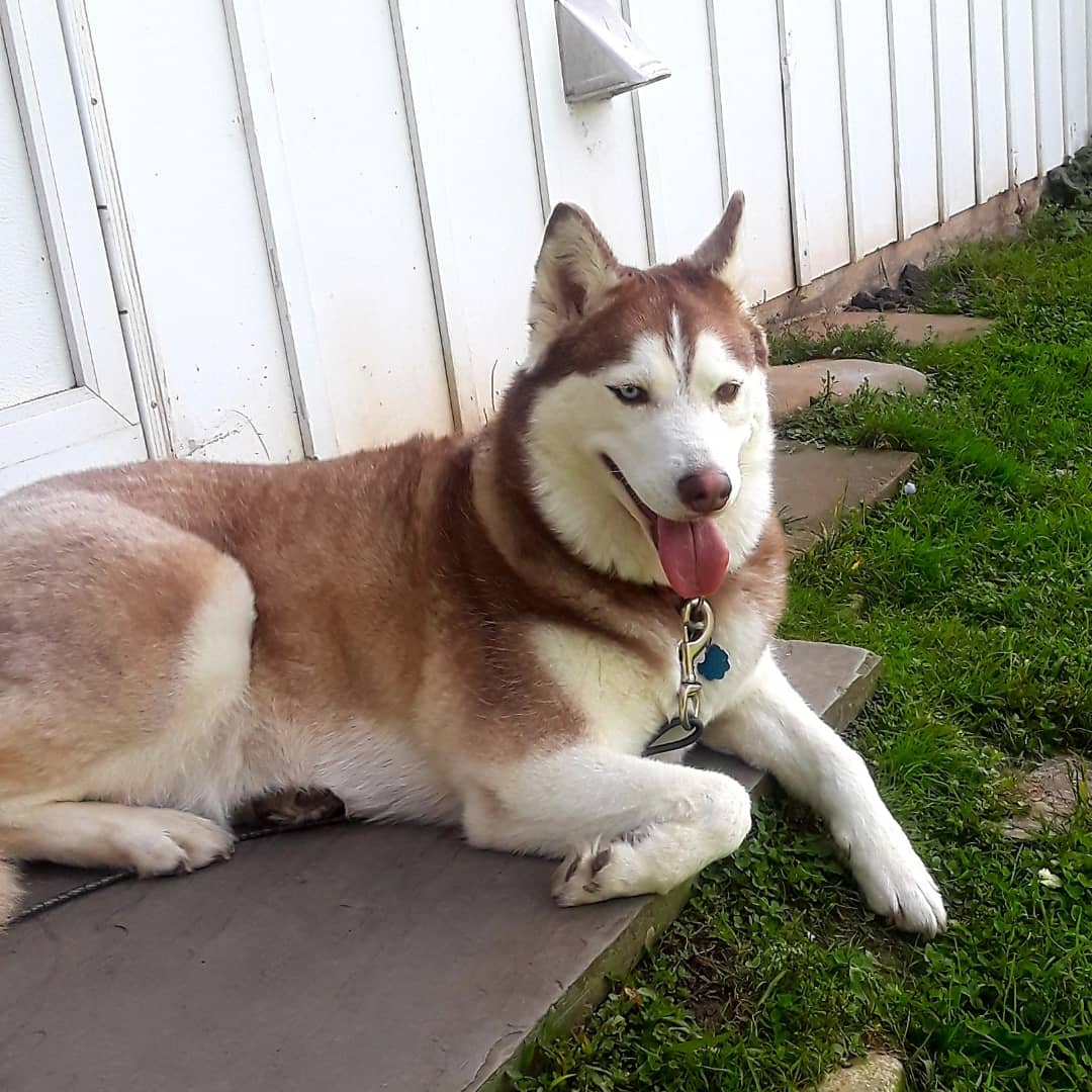 Tony Gisolfi (@tonygisolfi) on Twitter photo 