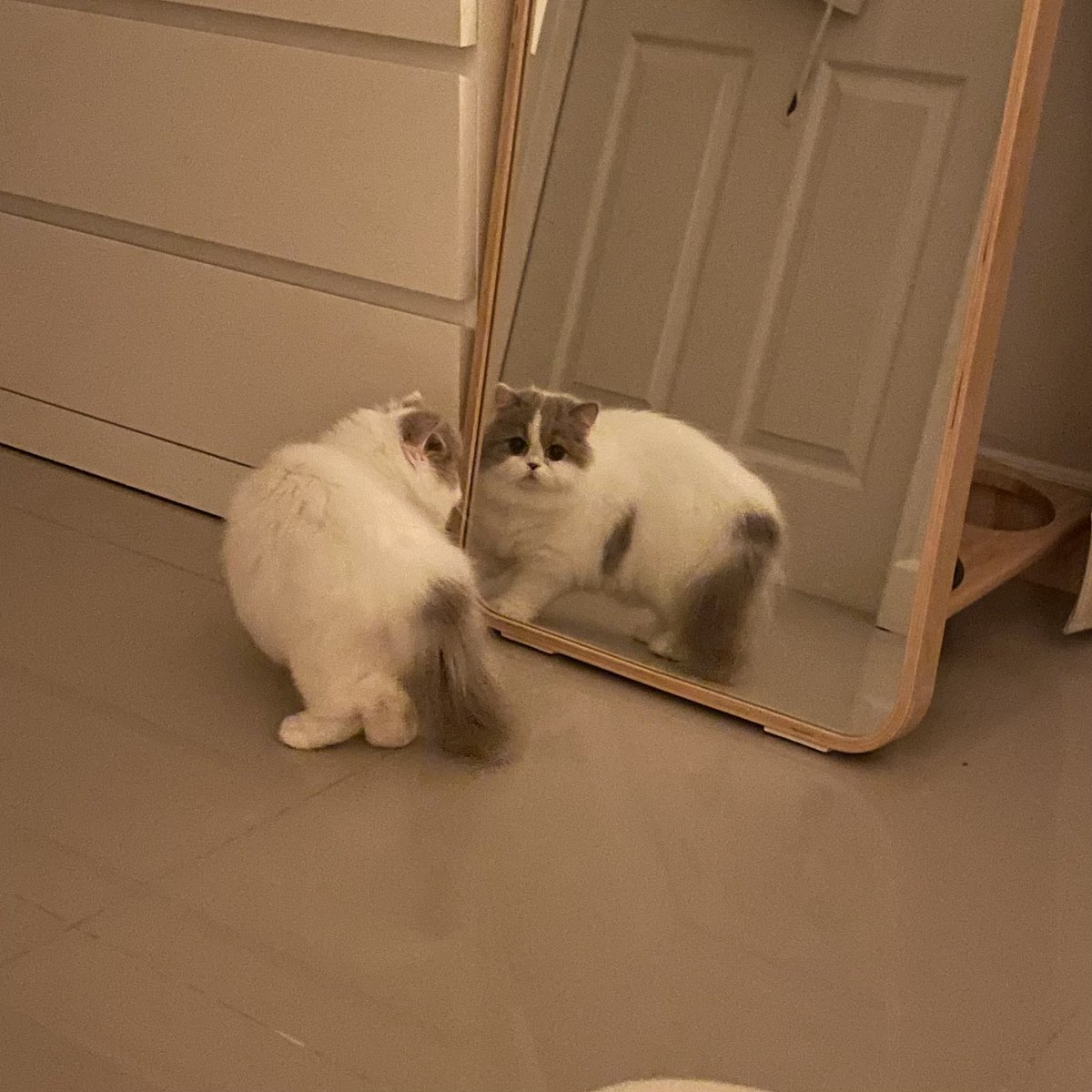 ใครก็ได้ช่วยบอกนังหน่อยว่านั่นมันตัวนังเอง ขู่ตัวเองมาสองวันละ 555555555555555555555