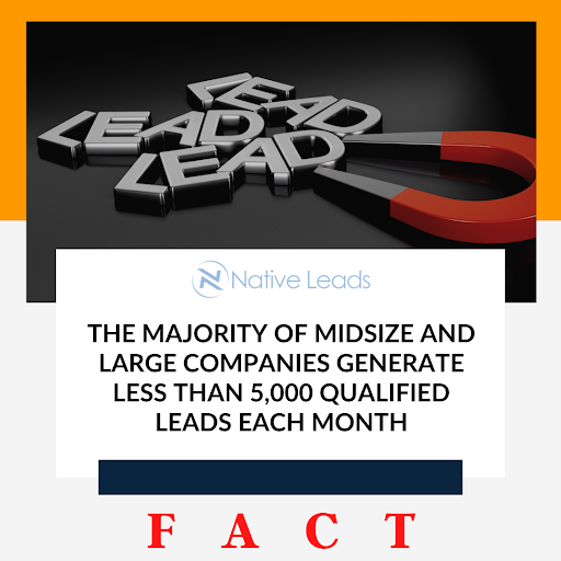 NativeLeads tweet picture