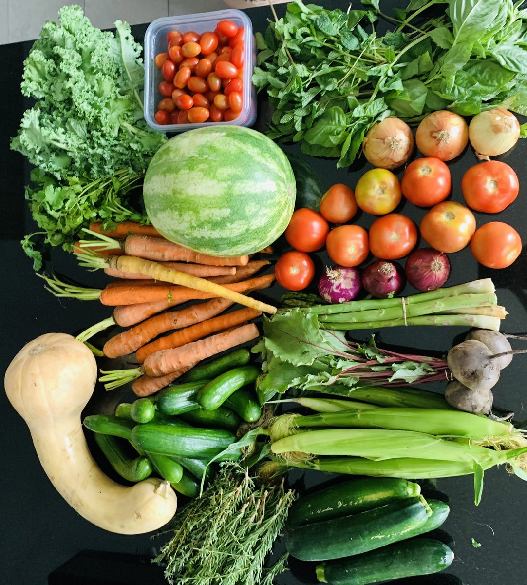 jesusrglez's tweet photo. #VeganColor 👌🏻 https://t.co/d4ELBuGPNy