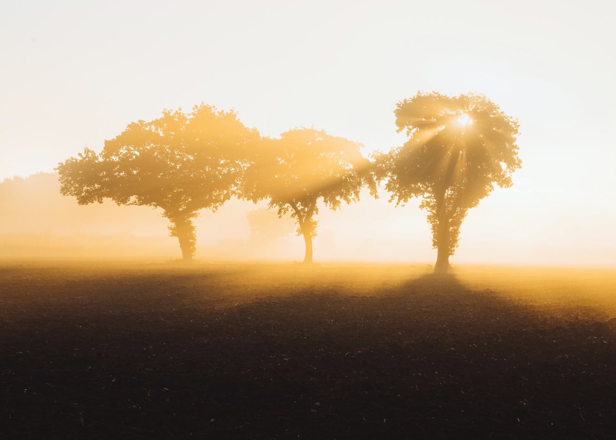 tomwgreen's tweet photo. What a stunning morning, taken in Cheshire. #WexMondays #landscapephotography #photography https://t.co/alZFcSX5AQ