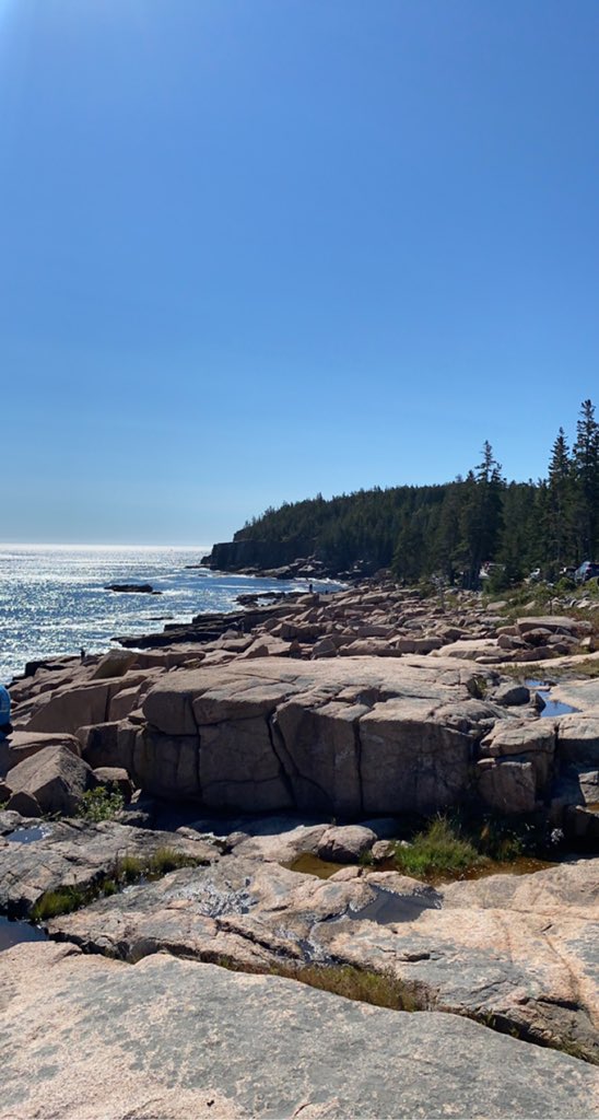 timmerykuck's tweet photo. Successful “glamping” trip in Bar Harbor and Acadia! @terramorresort https://t.co/t2fZ0NzBup