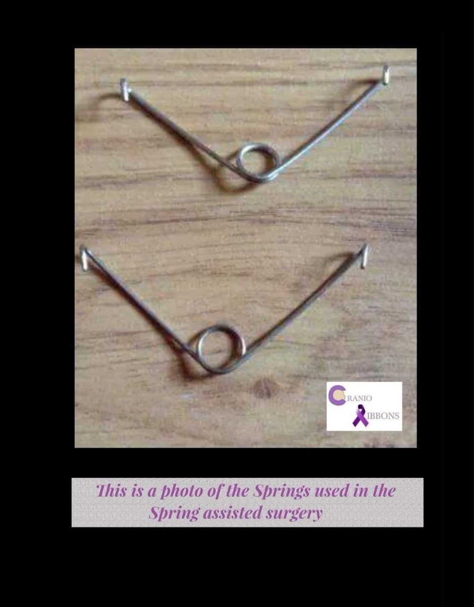 Cranio Ribbons tweet media