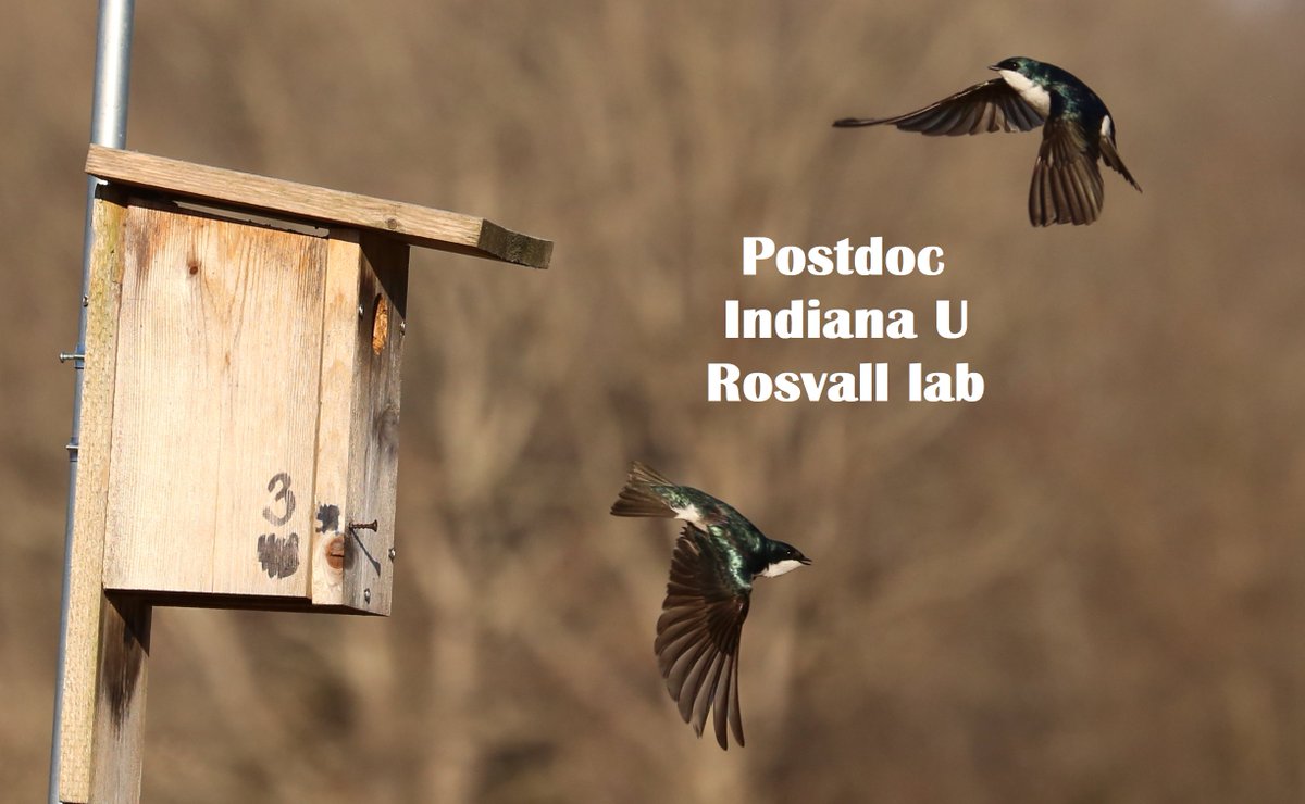 rosvall_lab's tweet photo. Postdoc opening in my lab🐦 Evolution of Behavior &amp; Behavioral Mechanisms. Start date: Spring '22 or Spring '23. Apply by Nov 5. Pls RT. https://t.co/4yW3aFgHH3 https://t.co/0jaKpbx9D6