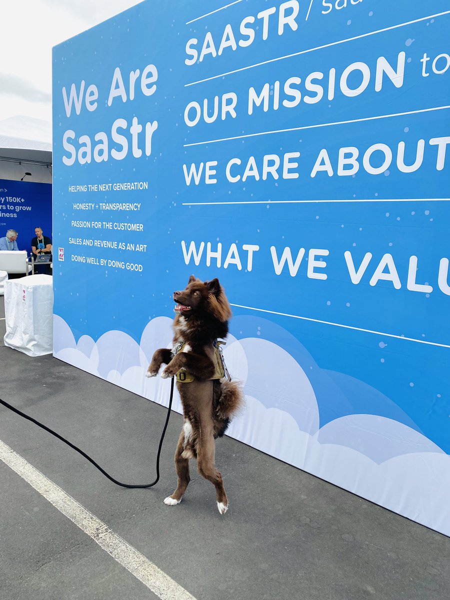 budgyt's tweet photo. Our top SDR (Small Dog Representative) heard the speakers at @SaaStrAnnual are throwing out some good bones. @jasonlk, whatcha got for him? 🦴 #SaaStr #Saastr2021 #saastrannual https://t.co/N8gj9OUmwK
