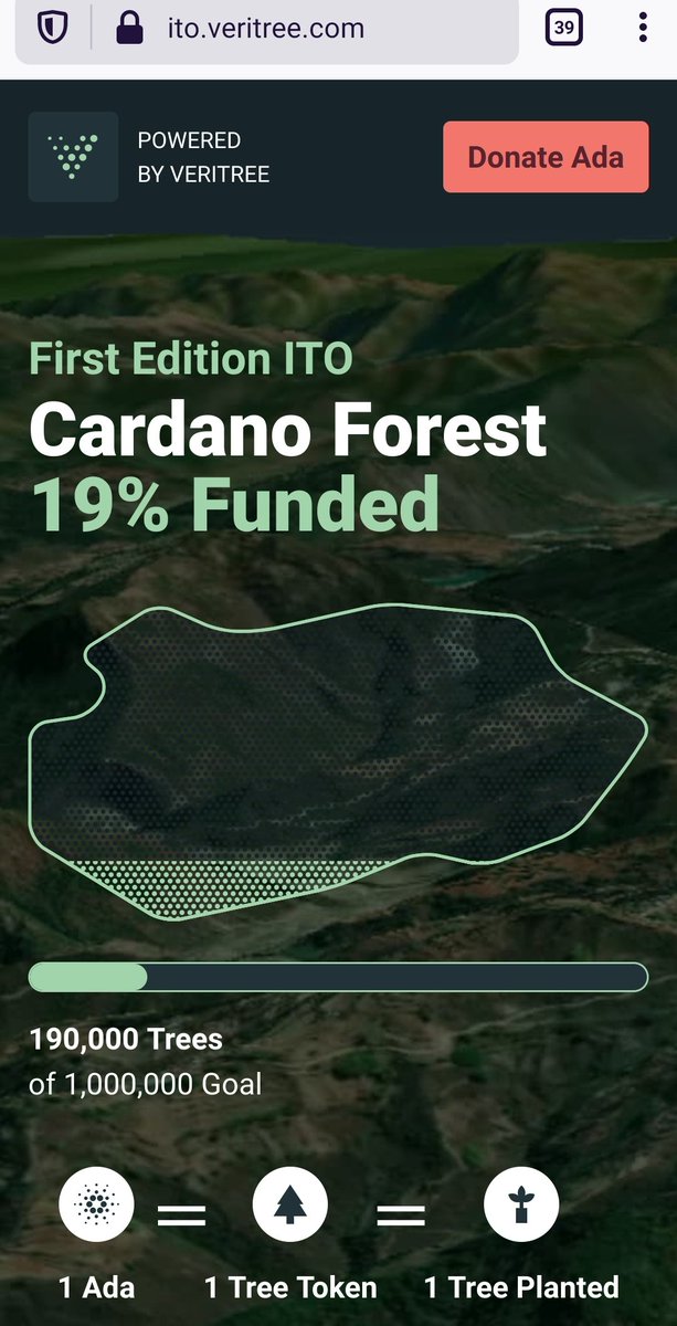 Co2Pool's tweet photo. Already 190,000 trees planted. We need at least 218,000 to offset emissions of #Cardano Stakepools in a first step.

If we reach #1MillionTrees for the #CardanoForest, Cardano will be the biggest and most eco-friendly blockchain of the world.

1 $Ada donated = 1 tree planted https://t.co/5cf1shaIfh