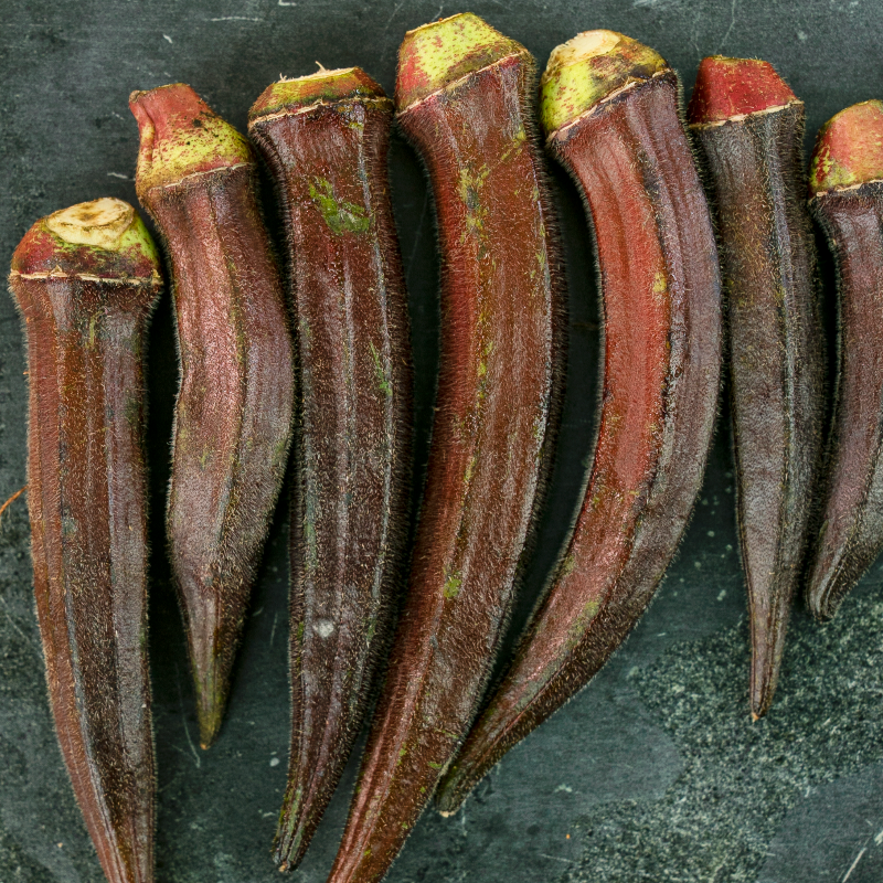 SpecialtyProd's tweet photo. LOVE OR HATE: Okra? Red okra is super tender with a vegetal and nutty flavor. #specialtyproduce #redokra https://t.co/wBaVOjd2RZ