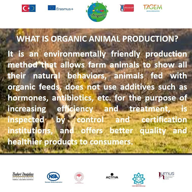 eorganiceu's tweet photo. #OrganicAnimal #OrganicAnimalProduction #OrganicFeeds #NoAntibiotics #NoHormones #OrganikHayvancılık #OrganikHayvansalÜretim #OrganikYem #AntibiyotiklereHayır #HormonlaraHayır https://t.co/FIZnfuQWvL