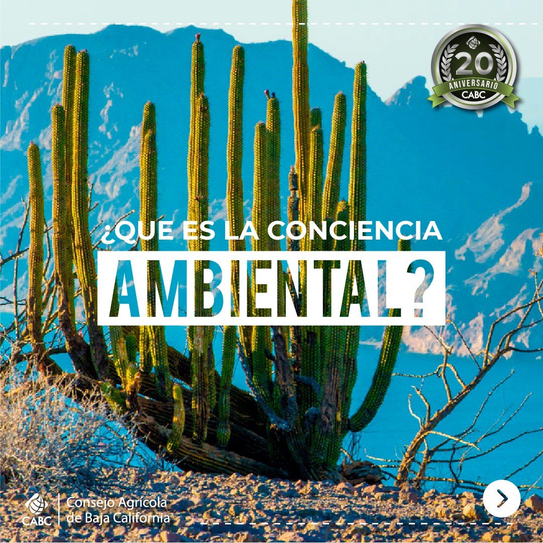 Consejo Agrícola de Baja California tweet media