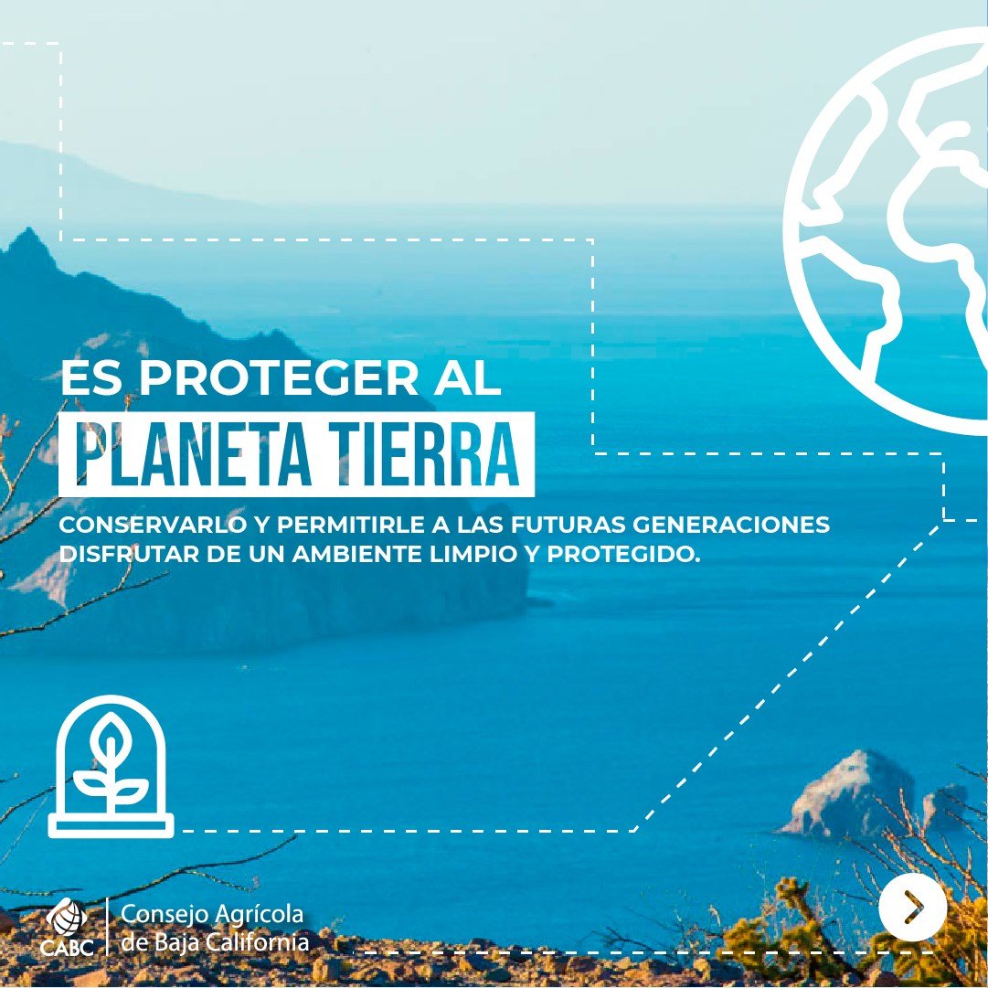 Consejo Agrícola de Baja California tweet media