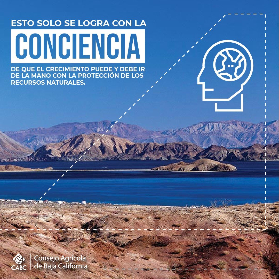 Consejo Agrícola de Baja California tweet media