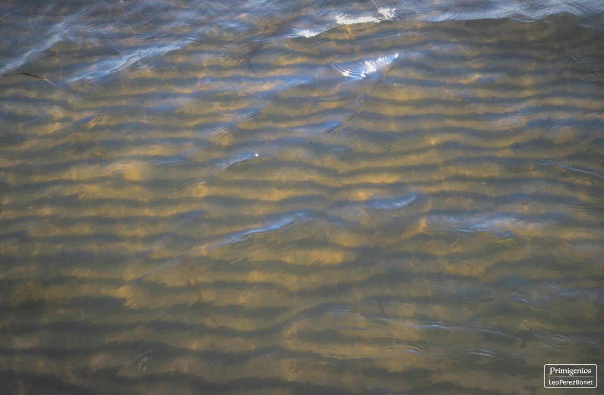 Primigenios_'s tweet photo. “Waves I” - Playa del Trabucador - Sant Carles de la Ràpita - Tarragona - 2021

#santcarlesdelarapita #landscape #landscapephotography #deltebre #nikond800 #nature #naturephotography #photo #photooftheday #wildlifephotography #tarragona #Mediterranean #deltadelebro https://t.co/MXzb1GX8nA