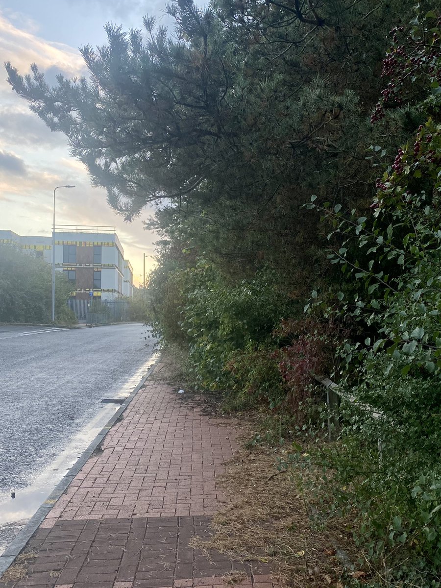 Keep Grangetown Tidy tweet media