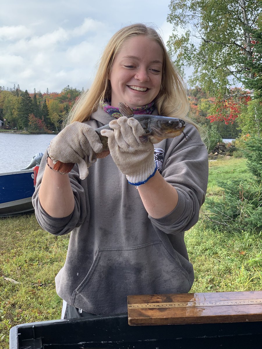 namespetra's tweet photo. Part way through #FieldCamp2021 with #SchoolOfNaturalEnvironment students. Having an amazing time on the water learning about #Fish and #LakeChemistry. @SaultCollege https://t.co/u80vp8G9GP