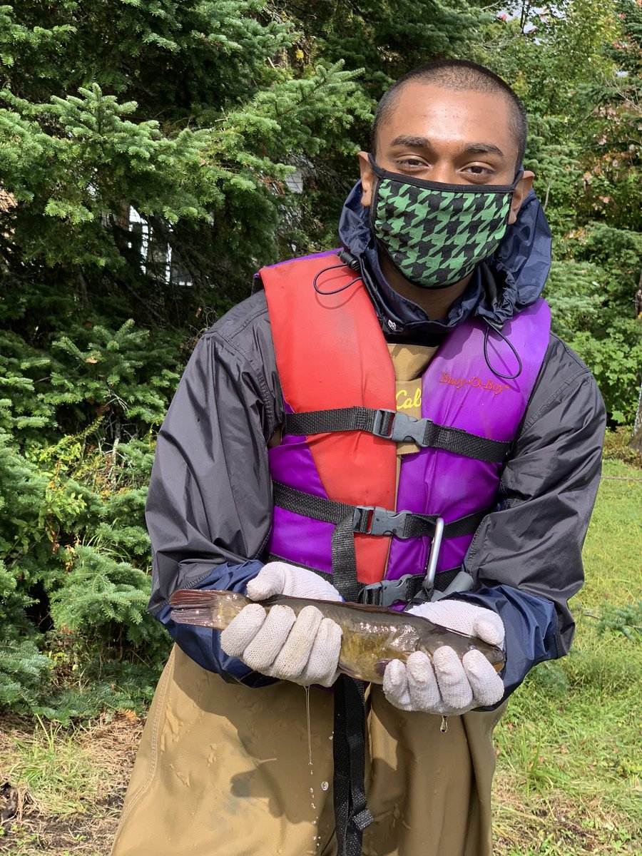 namespetra's tweet photo. Part way through #FieldCamp2021 with #SchoolOfNaturalEnvironment students. Having an amazing time on the water learning about #Fish and #LakeChemistry. @SaultCollege https://t.co/u80vp8G9GP