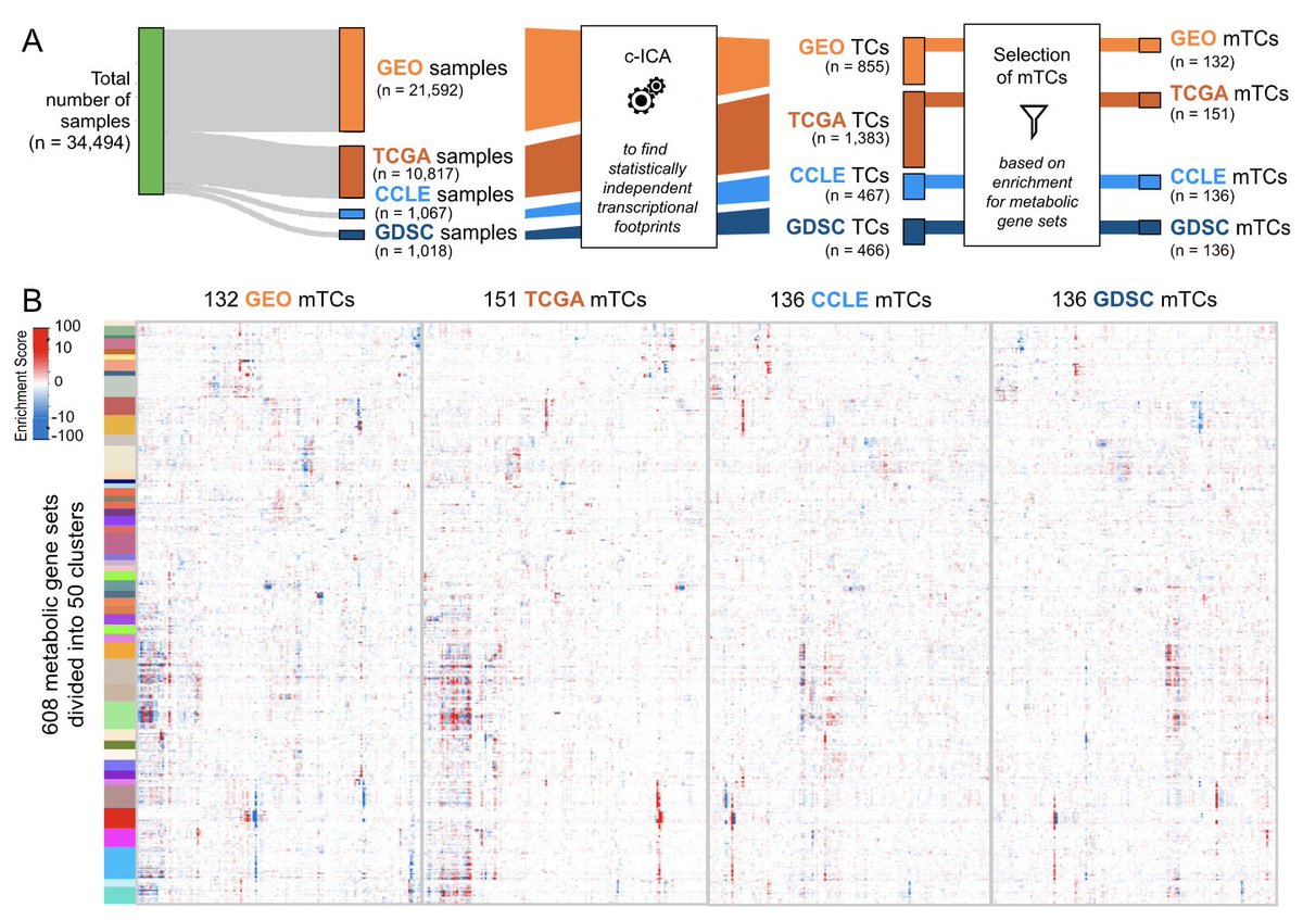 Very happy to share our latest publication at BMC Cancer &amp; Metabolism "Robust metabolic transcriptional components in 34,494 patient-derived cancer-related samples and cell lines"
rdcu.be/cytWu 
Portal themetaboliclandscapeofcancer.com
<a href="/SN_Oncology/">@SN_Oncology</a>