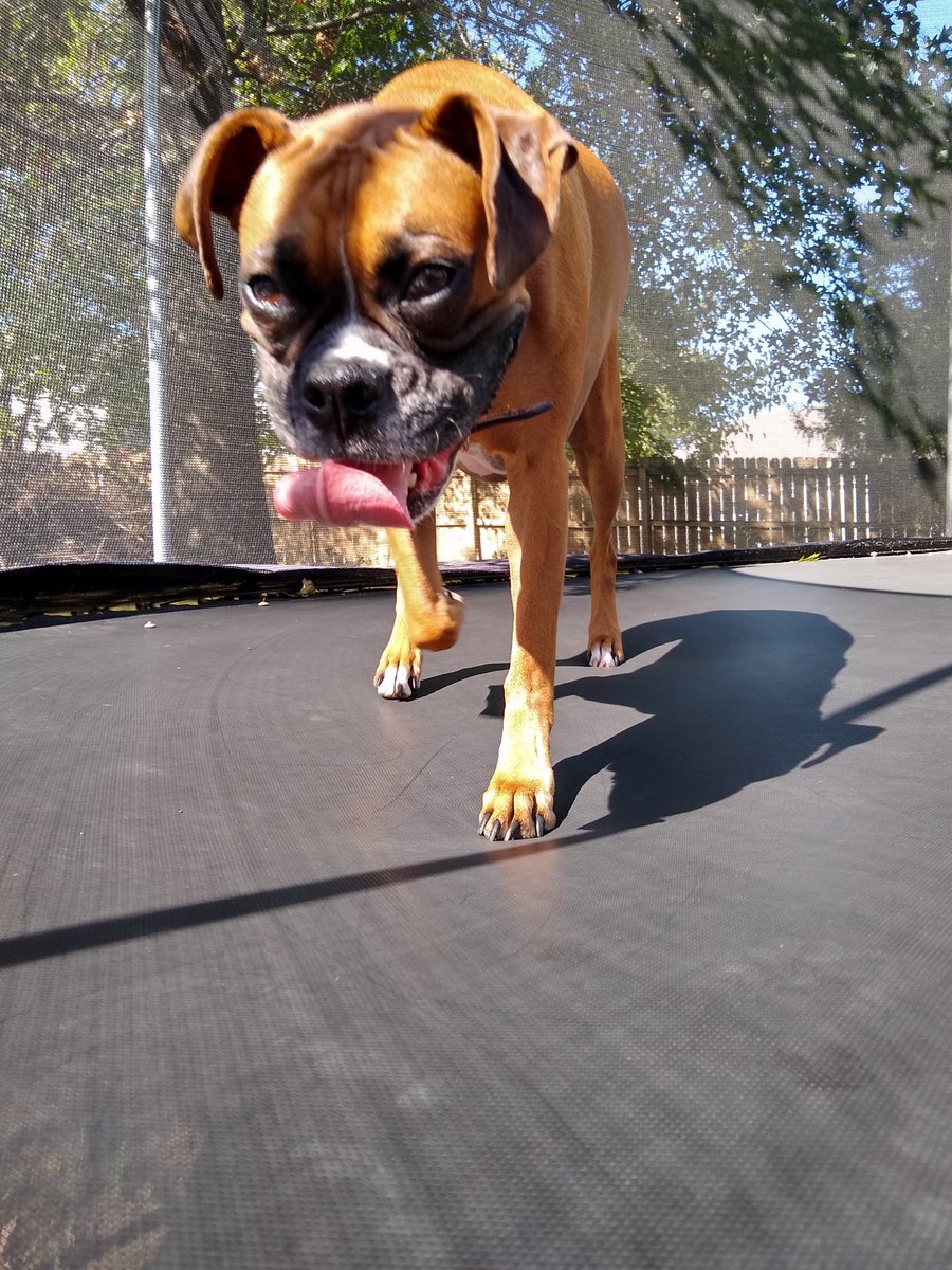 cheezy_kong's tweet image. Ummmm why is it so hot today? #midwest #secondsummer #whereisfall