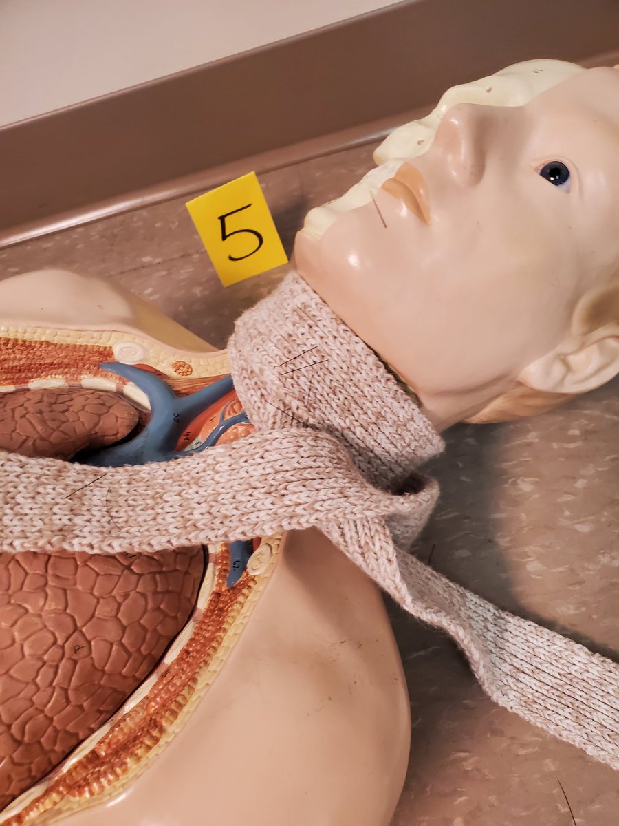 FortCalhounSci's tweet photo. Crime scene photography today! πΈ π #forensics #fortcalhoun https://t.co/9wGUPfAFZ4