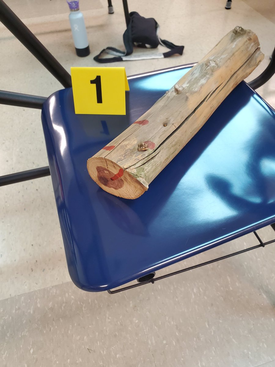 FortCalhounSci's tweet photo. Crime scene photography today! πΈ π #forensics #fortcalhoun https://t.co/9wGUPfAFZ4