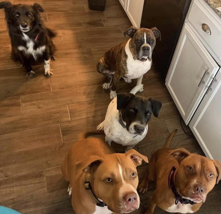 LexSara3213's tweet photo. Just the squad https://t.co/5UcIig5WaO