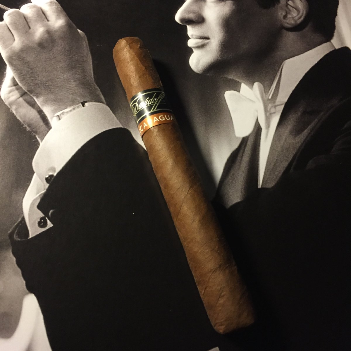 CabanaCorner's tweet photo. #Davidoff Primeros Nicaragua (Ø34x105mm), un breve pero placentero puro con gran complejidad. Notas cremosas a pimienta para maridar con un espresso de especialidad. (Lectura: One Savile Road por Gieves &amp; Hawkes). https://t.co/Gk2JNhtkl3