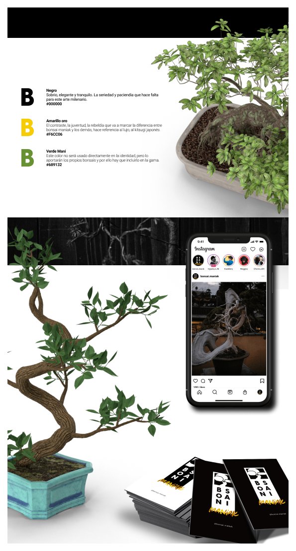 escribanoclemen's tweet image. Nuevo proyecto en la lanzadera. Aire fresco y posibilidades infinitas.

bonsai.maniak

Pronto enseñando todo sobre este apasionante mundo, pero de momento una pequeña muestra.

#bonsai #web #designfresh