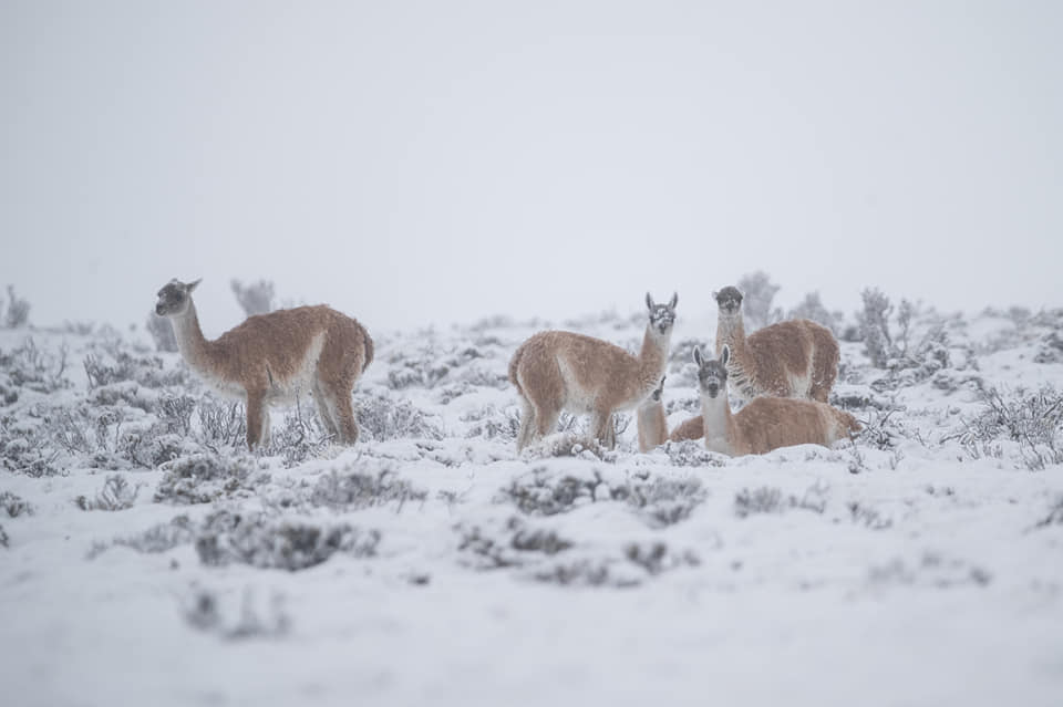 Ruben krrtro tweet media