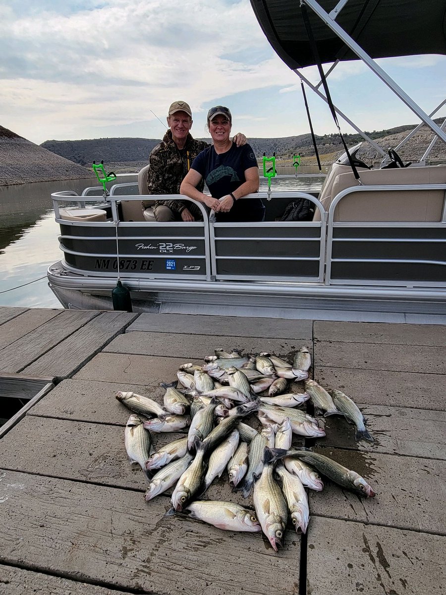 khampton911's tweet photo. Spent a great morning making memories fishing with my dad. We caught our limit with White Bass and catfish at Elephant Butte Lake here in NM https://t.co/Gs6ZZ2Hdos