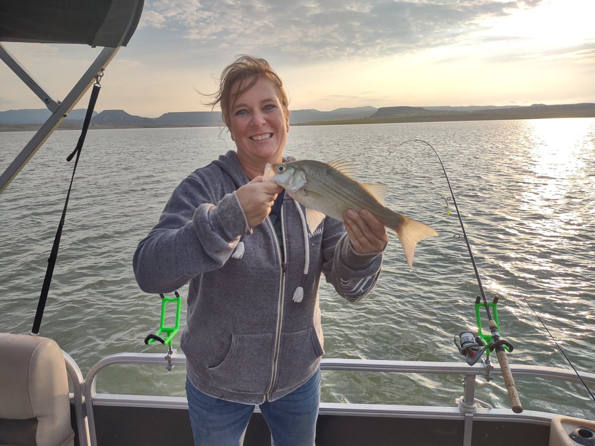 khampton911's tweet photo. Spent a great morning making memories fishing with my dad. We caught our limit with White Bass and catfish at Elephant Butte Lake here in NM https://t.co/Gs6ZZ2Hdos
