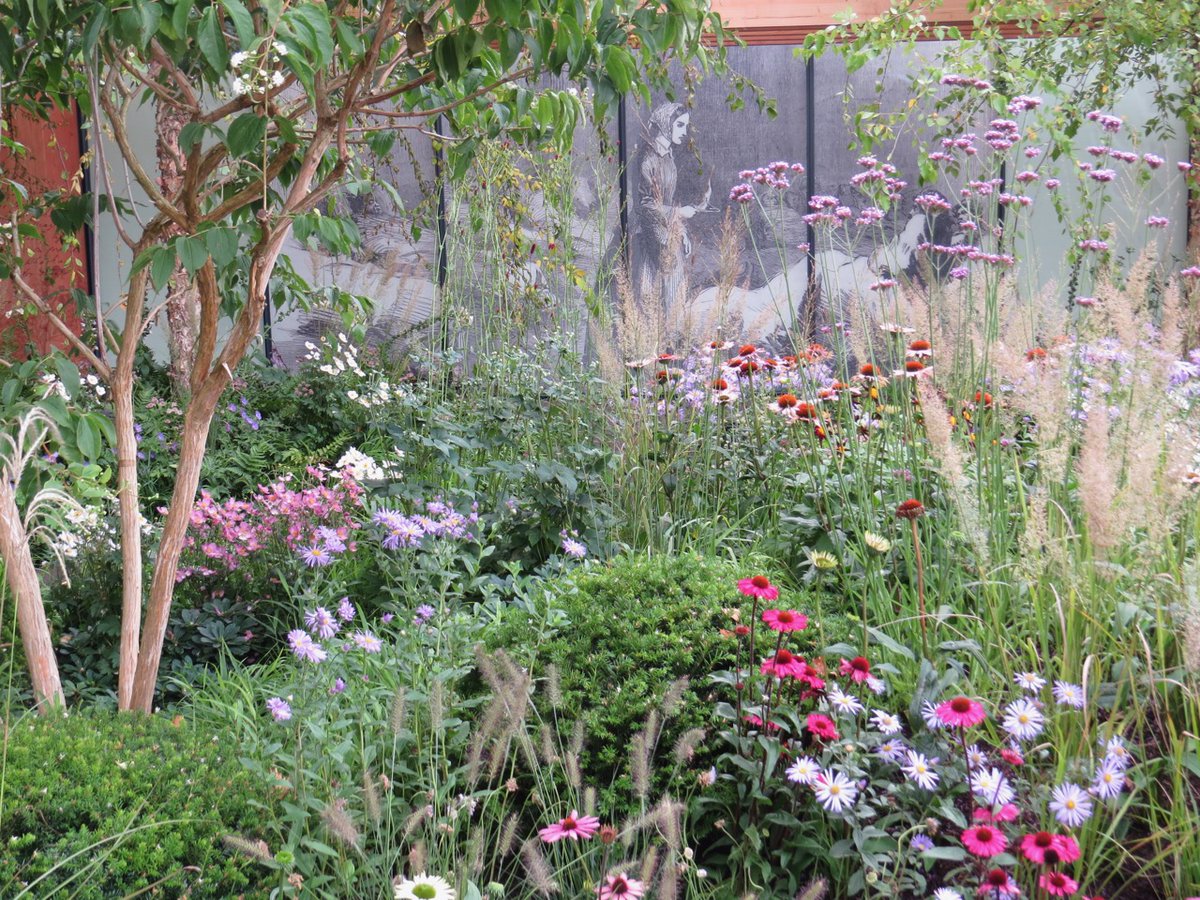 Nigel H 🎸🎸🎸🎸🥁 tweet media