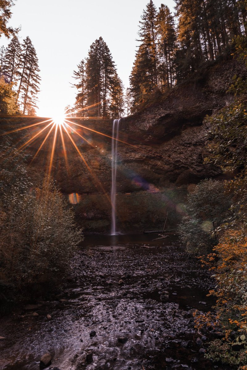 The LR Visuals tweet media