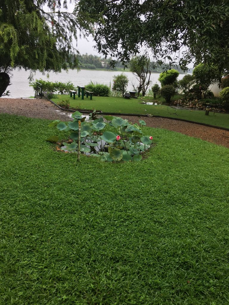 RahimSabitha's tweet photo. Goodnight sweet rainy hometown...🏞️
#ViewFromKitchenWindow 🌧️
📸 Mom's sis ♥️
#Aluva 
#RiverPeriyar 🛶 https://t.co/LGIoT4oZZR