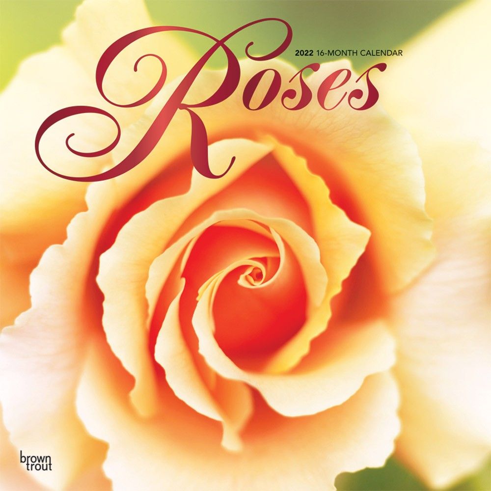 browntroutpub's tweet photo. #WesternAustralia celebrates #QueensBirthday in #September as a #NationalHoliday. Order a copy of our #Roses #calendar which are simple and elegant and enjoy this ancient beauty every day. #happybdayqueen #WesternAustralia #publicholiday #queenElizabeth https://t.co/X5ItmflHW1 https://t.co/bXCWh4vXmy