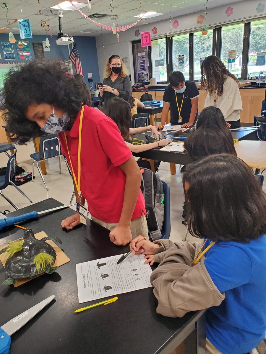 MAMatusz's tweet photo. @GGM_SOARS @CCPSScience #sciencerocks Such a fun day in the life of Marine Biologists...The Turtle Trunk was a hit. Investigation using models, measurements and observations. Should the turtles be released or rehabilitated? https://t.co/4YdcFRHsWW