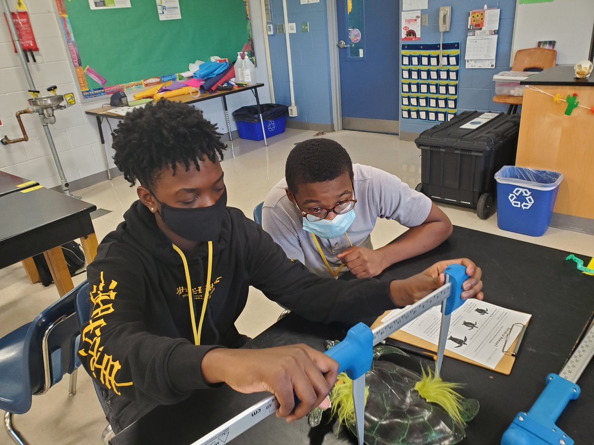 MAMatusz's tweet photo. @GGM_SOARS @CCPSScience #sciencerocks Such a fun day in the life of Marine Biologists...The Turtle Trunk was a hit. Investigation using models, measurements and observations. Should the turtles be released or rehabilitated? https://t.co/4YdcFRHsWW
