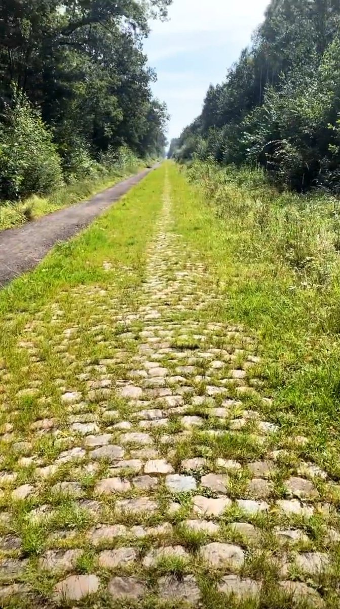 amantes_cycling's tweet photo. Hoy se ha pasado la barredora para dejar listo el mítico tramo de Arenberg para el Domingo. 

Es el sector más emblemático de la prueba que destaca por su dureza, una larga recta de 2.500 m sobre una antigua mina con un adoquin "tirado" y húmedo que lo convierten en una tortura https://t.co/3KnuON1wQ8
