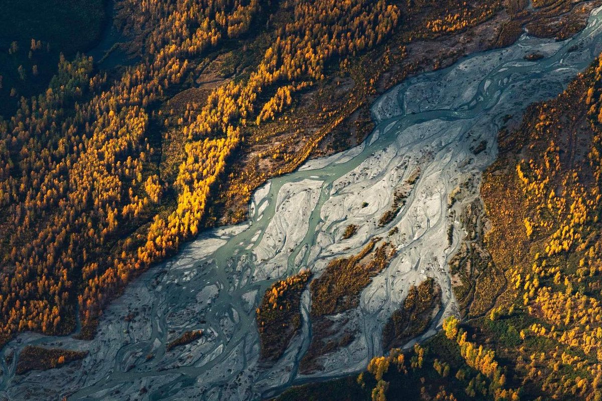 TravelAlaska's tweet image. A10. Nothing compares to the sense of peace you’ll feel while flying above golden mountain ranges and turquoise glacier-fed lakes. Try going flightseeing for a bird’s eye view of fall colors in Alaska! 🛩️#TravelAlaskaChat

📸: @flyrusts