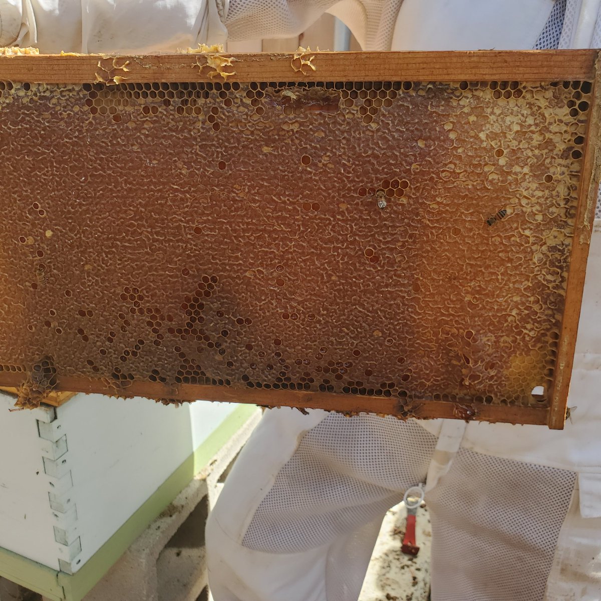 Govalle Library tweet media