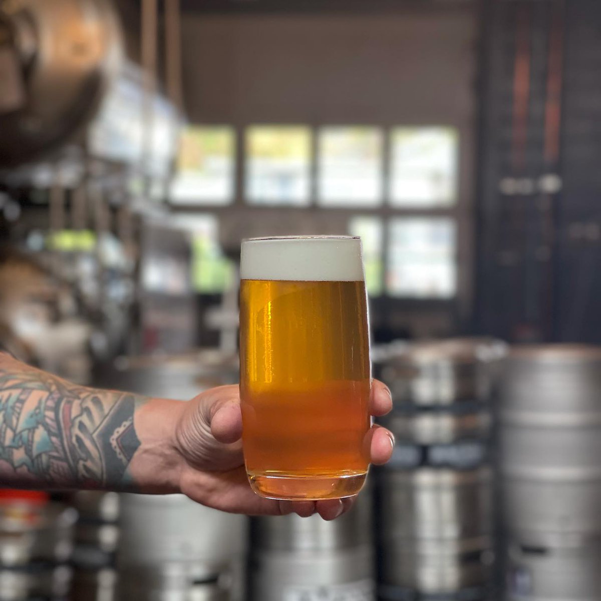 RavennaBrewing's tweet photo. Amarillo Fresh Hop IPA! On today! Super crisp, dank, and super fresh. #freshhop #FreshIPA https://t.co/NMqV6YS372