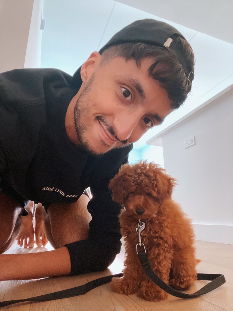 saadk_'s tweet photo. everyone please meet ziggy https://t.co/ik8j4Zk4h0