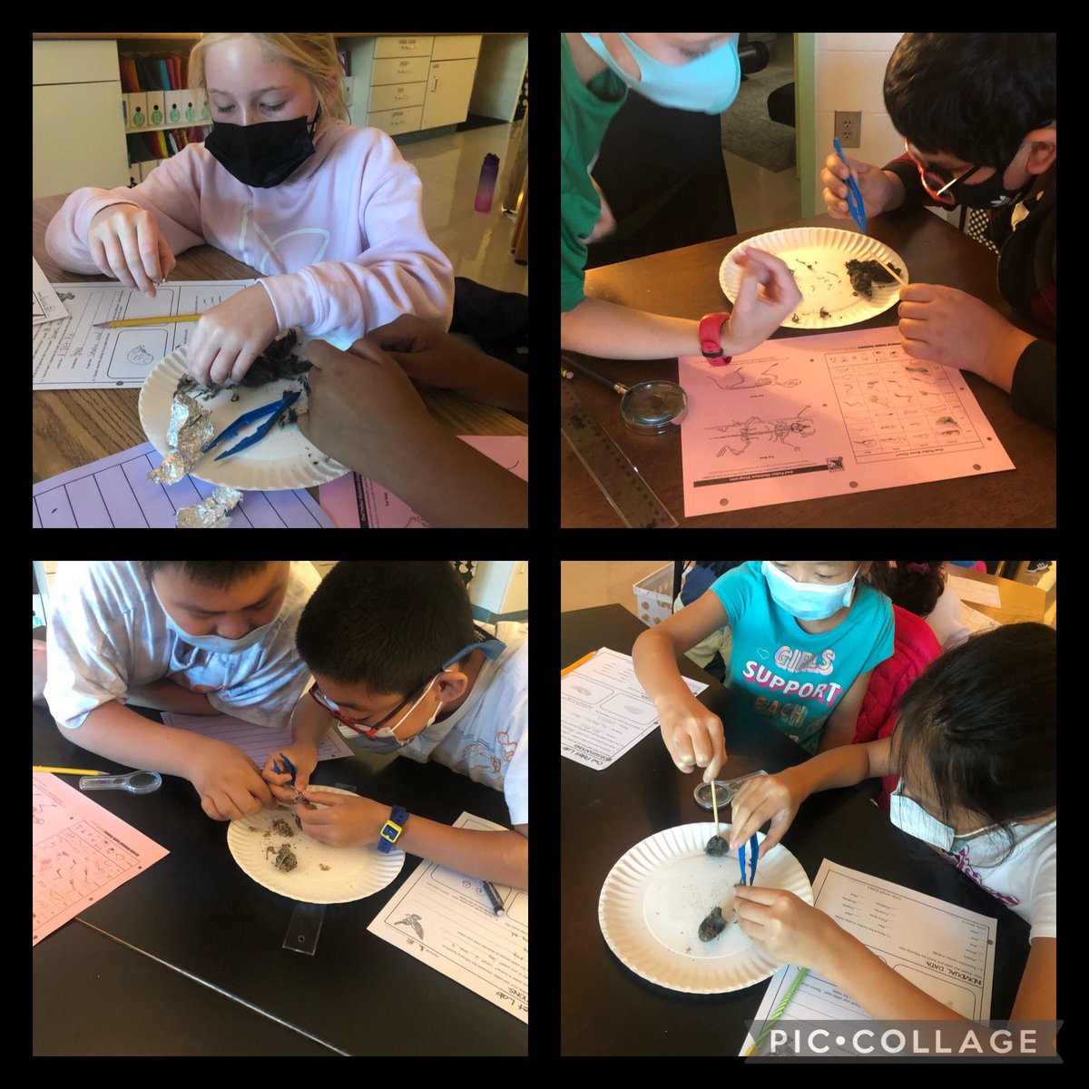 KatieRenners's tweet photo. Played with owl vomit all day today. Ss LOVED it as usual. Lots of bones, fur, feathers, and cool discoveries. Itโs days like these that make me love my job! #MIStrong #InfinityMI #MasonMoment https://t.co/STM5yM01tQ